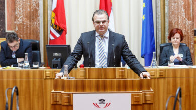 Hans-Jörg Jenewein Avusturya Parlamentosu 2015 Arşiv Fotoğrafı - FPÖ Rusya Casusluk Skandalı Davası
