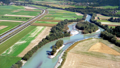 Obere Drau Karintiya nehir genişletme ve ekolojik koruma projesi
