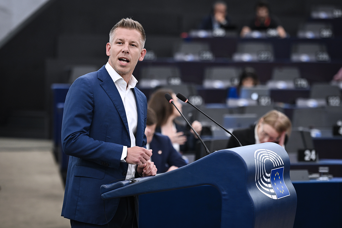 Péter Magyar Avrupa Parlamentosu'nda Macaristan'ın dondurulan AB fonları hakkında konuşuyor.