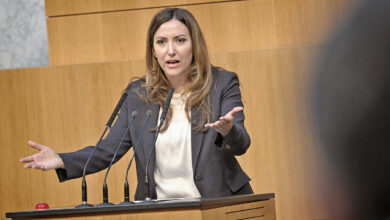 FPÖ Milletvekili Petra Steger, Avusturya Ulusal Konseyi'nde kürsüde konuşma yaparken.