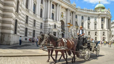 Viyana Hofburg Sarayı önünde güneşli havada bekleyen atlı fayton.
