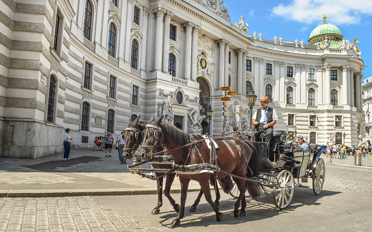 Viyana Hofburg Sarayı önünde güneşli havada bekleyen atlı fayton.